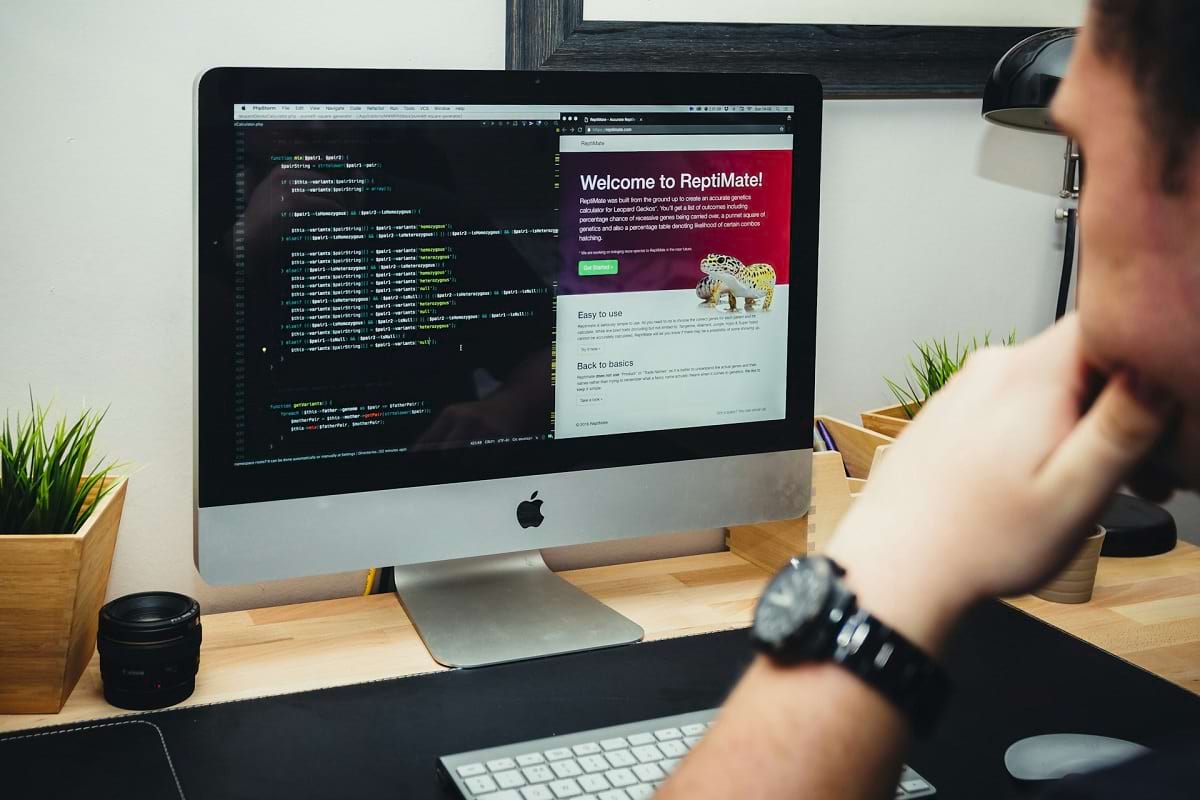 projektowanie stron internetowych Lublin